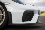 Porsche 718 Cayman GT4 2019 года (WW)